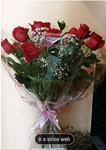 12 Rosas Freedom (Ecuador) de tallo largo (70 cm)  40. Euros