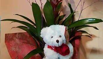 osito-peluche-blanco