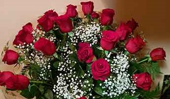 rosas-sanvalentin