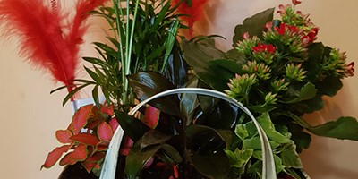 20170208_104254