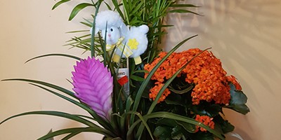 20170208_104338