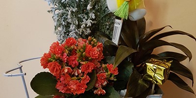 20170208_104515
