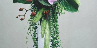 IMG_424185450073926