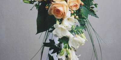 IMG_424199818478503