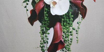 IMG_424205053123917